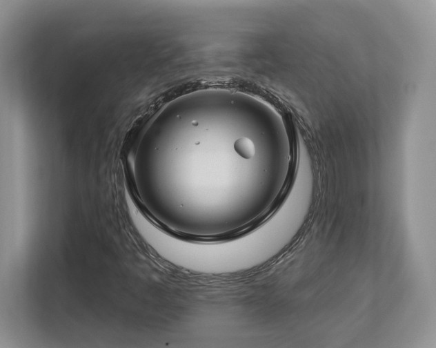 X0000112741445200908201337