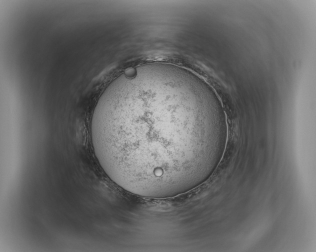 X0000112741446200908201337