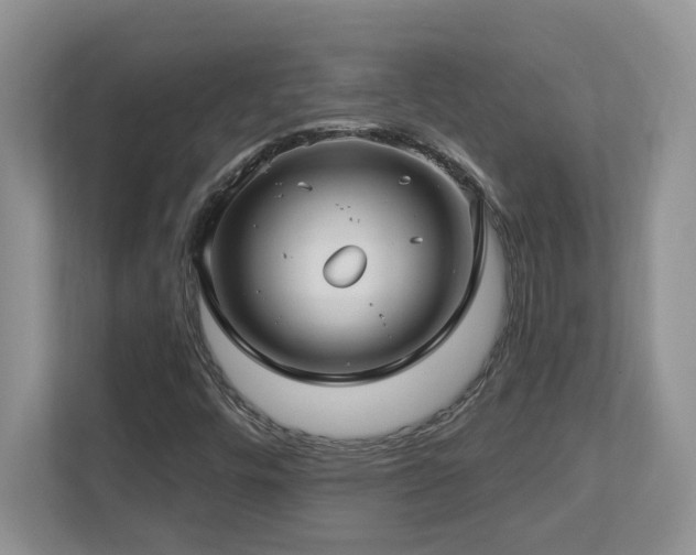 X0000112741448200908201337
