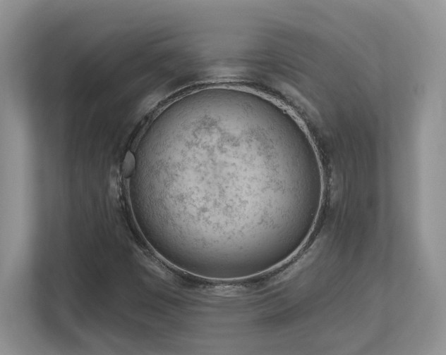 X0000112741449200908201337