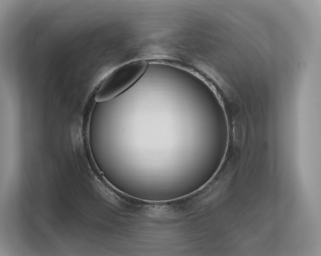 X0000112741452200908201337
