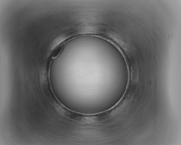 X0000112741453200908201337