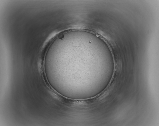 X0000112741454200908201337