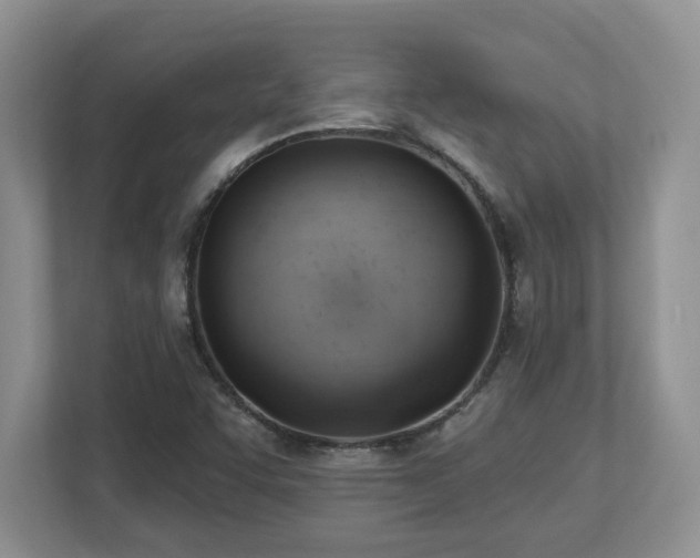 X0000112741455200908201337