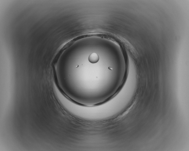 X0000112741457200908201337