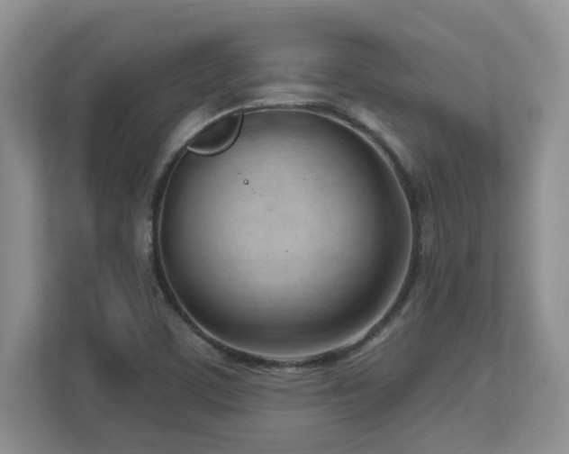 X0000112741459200908201336