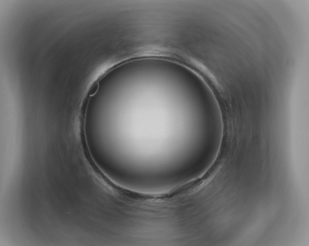 X0000112741463200908201336