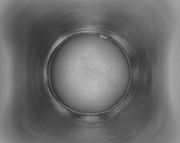 X0000112741466200908201336
