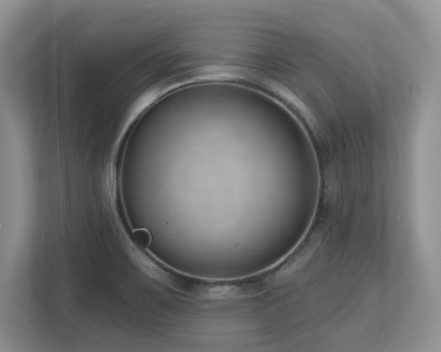 X0000112741467200908201336