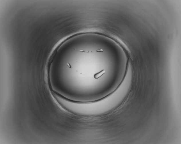 X0000112741468200908201336