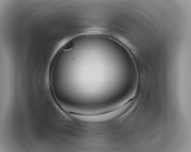 X0000112741469200908201336