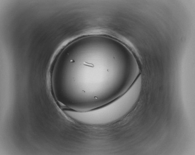 X0000112741472200908201336