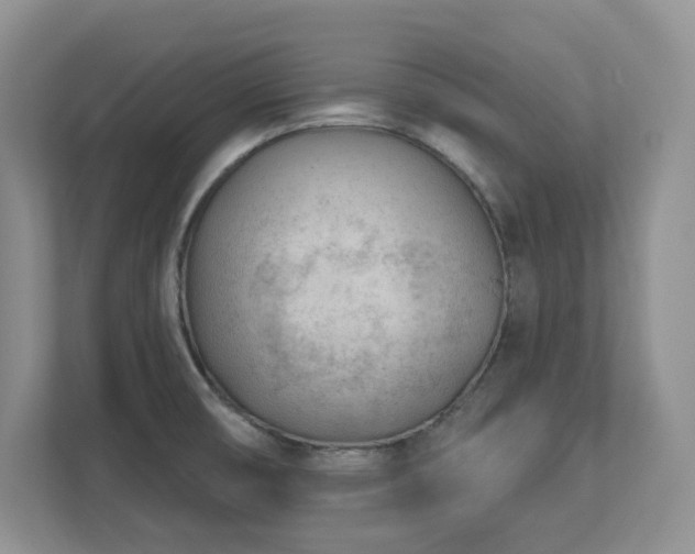 X0000112741474200908201336