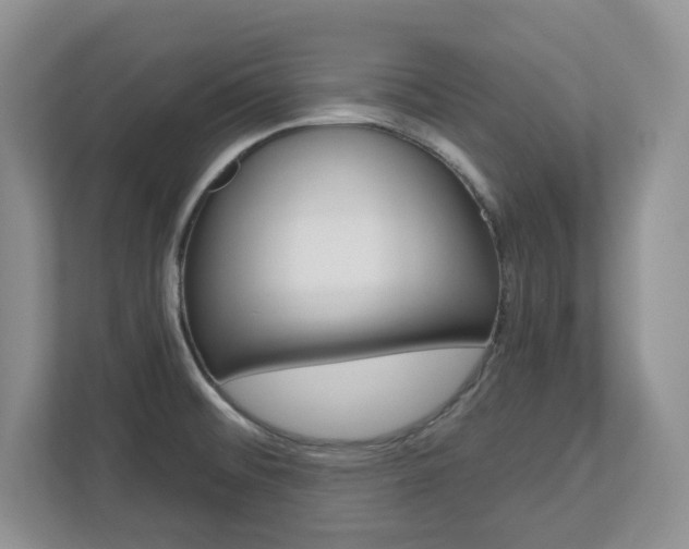 X0000112741476200908201336