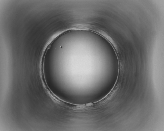 X0000112741485200908201336