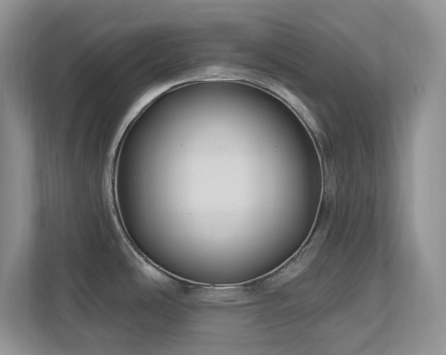 X0000112741486200908201336