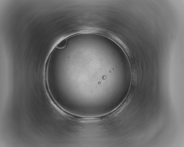 X0000112741487200908201336