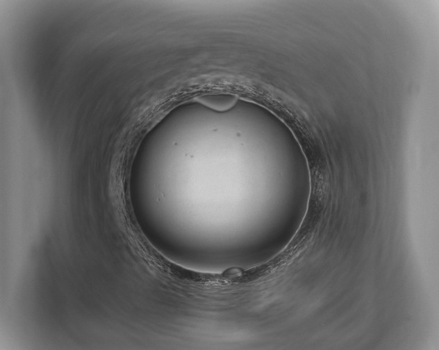X0000112741489200908201335
