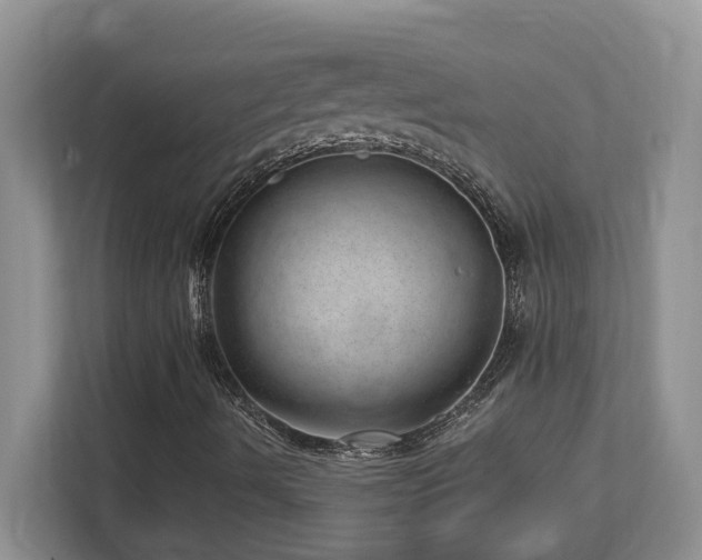 X0000112741490200908201335