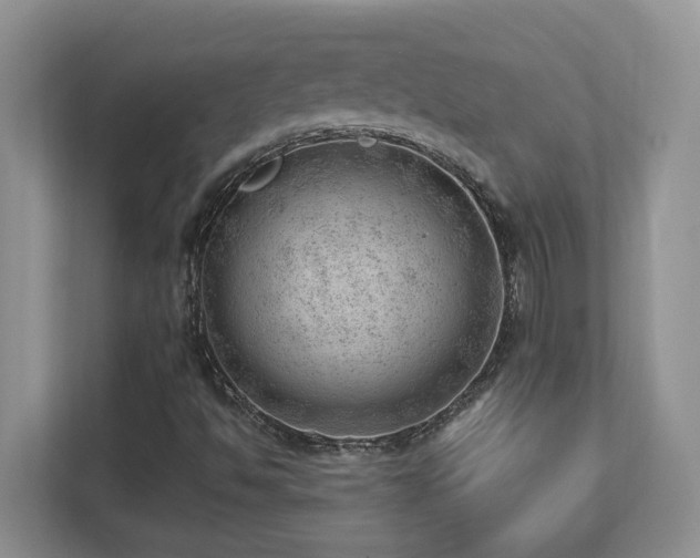 X0000112741494200908201336