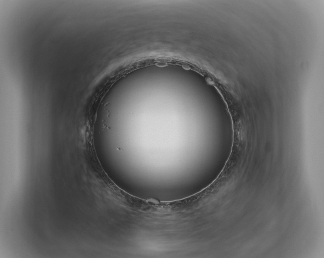X0000112741495200908201336