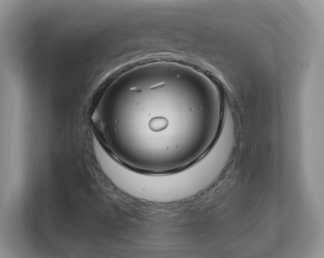 X0000112741496200908201336