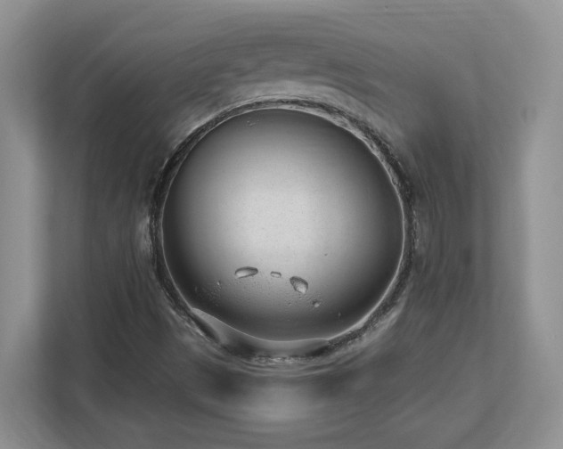 X0000112741497200908201336