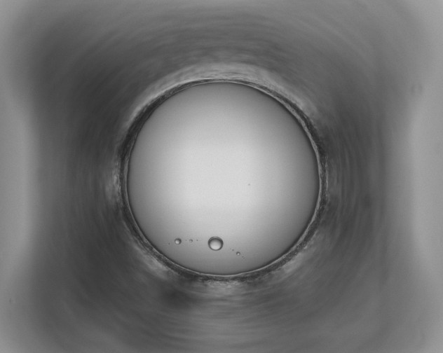 X0000112741498200908201336