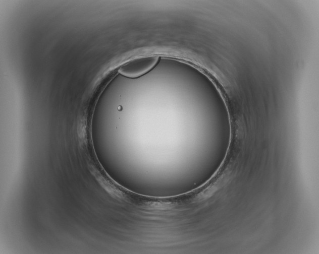 X0000112741499200908201336