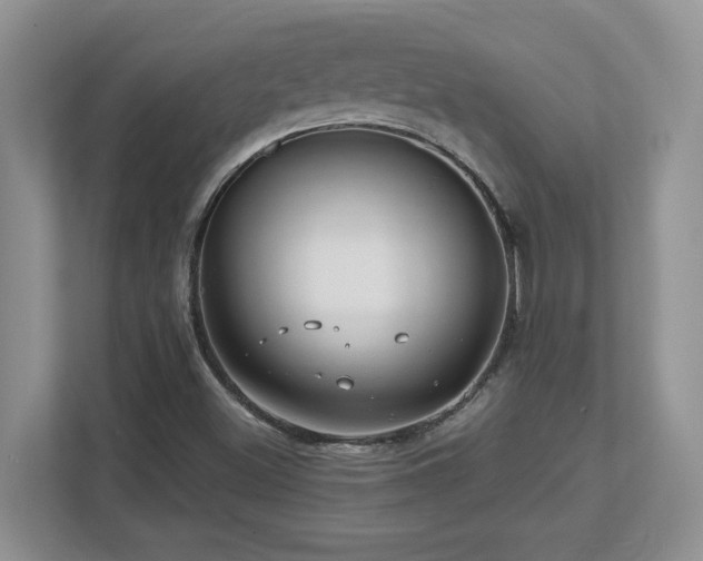 X0000112741500200908201336