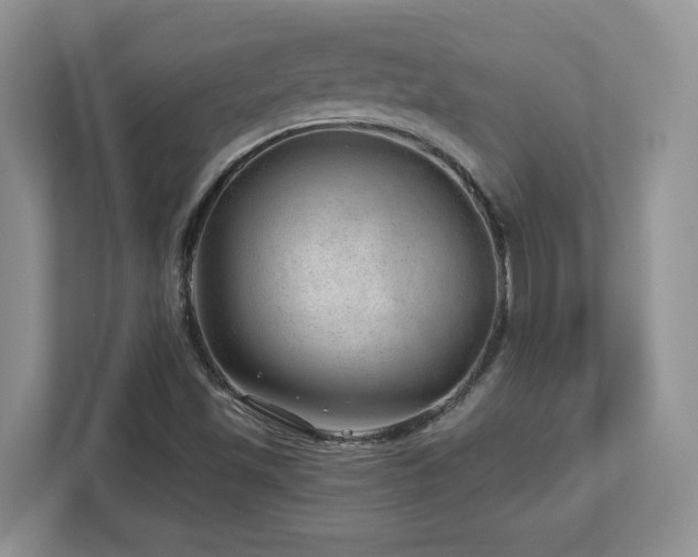 X0000112741501200908201336