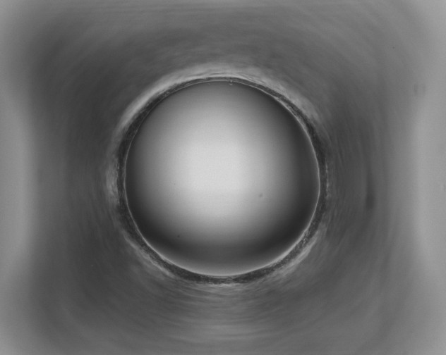 X0000112741502200908201336