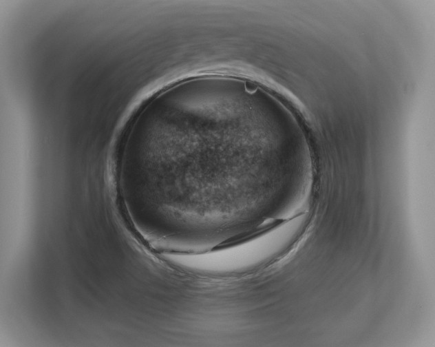 X0000112741506200908201336