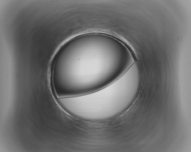 X0000112741508200908201336