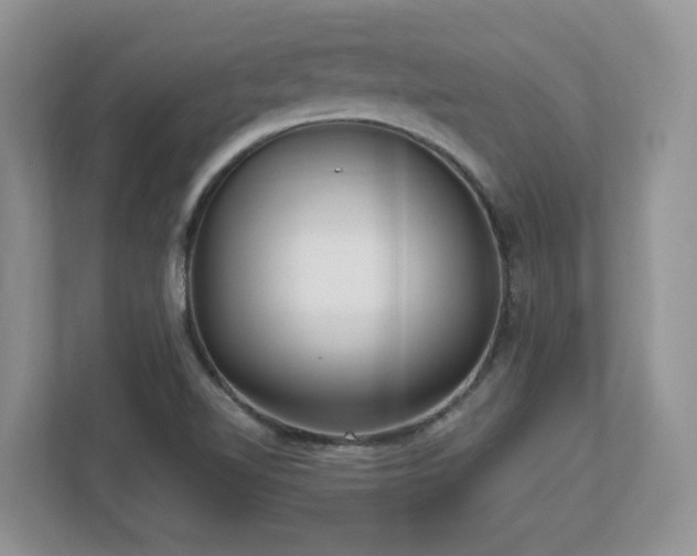 X0000112741510200908201336