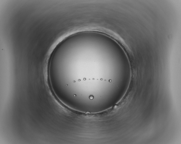 X0000112741512200908201336