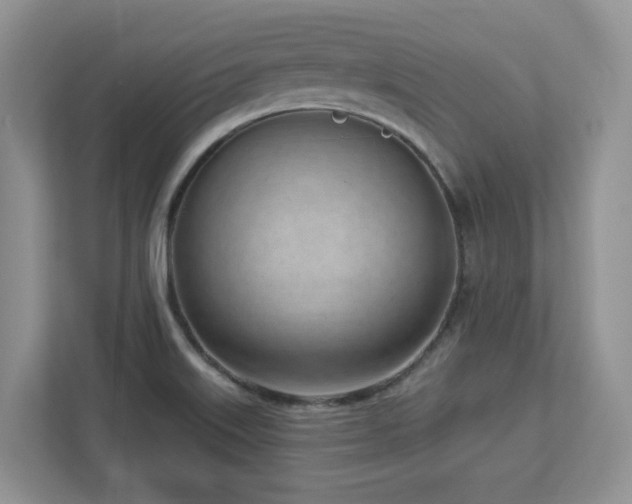 X0000112741515200908201336