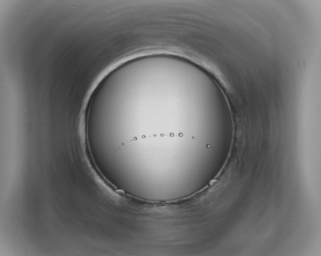 X0000112741516200908201336
