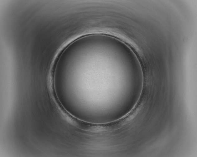 X0000112741517200908201336