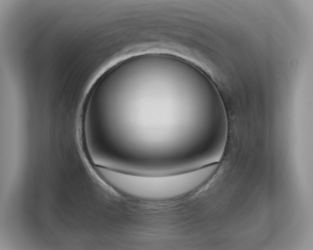 X0000112741518200908201336