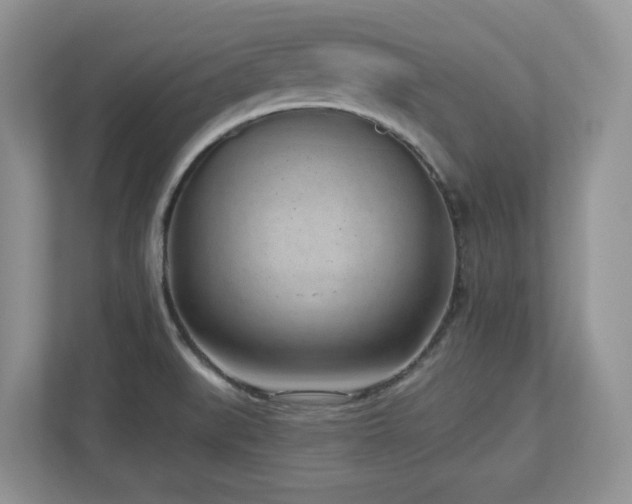 X0000112741519200908201336
