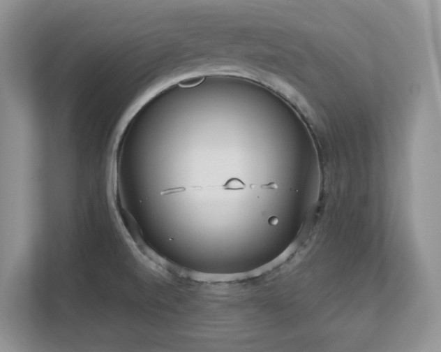 X0000112741520200908201336
