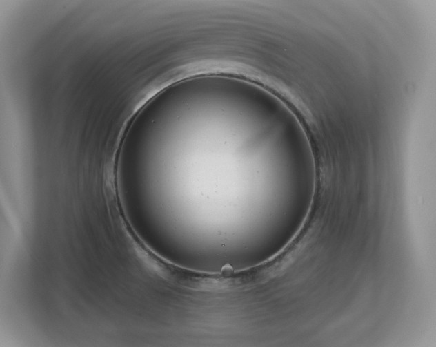 X0000112741521200908201336
