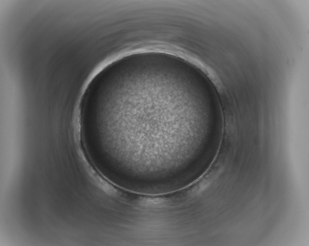 X0000112741522200908201336