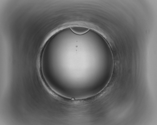 X0000112741523200908201336