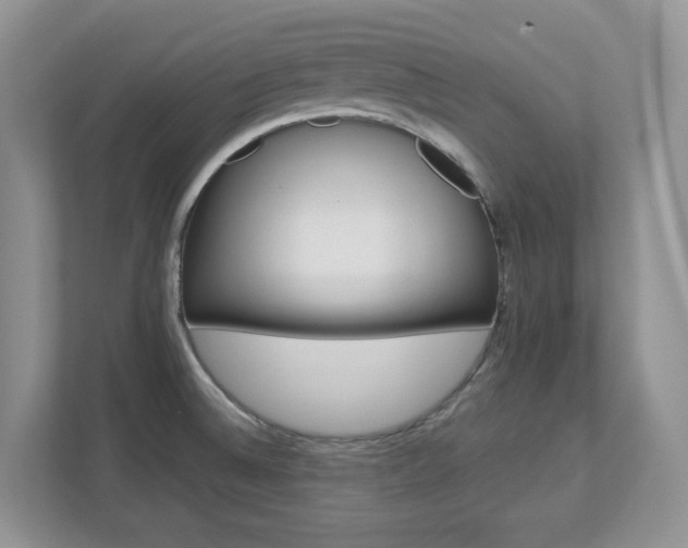 X0000112741524200908201336