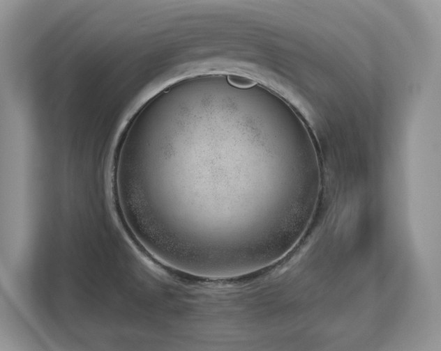 X0000112741525200908201336