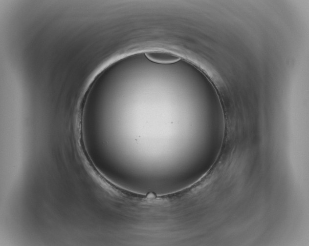 X0000112741526200908201336