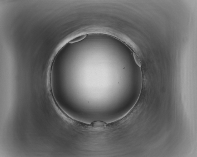 X0000112741528200908201336
