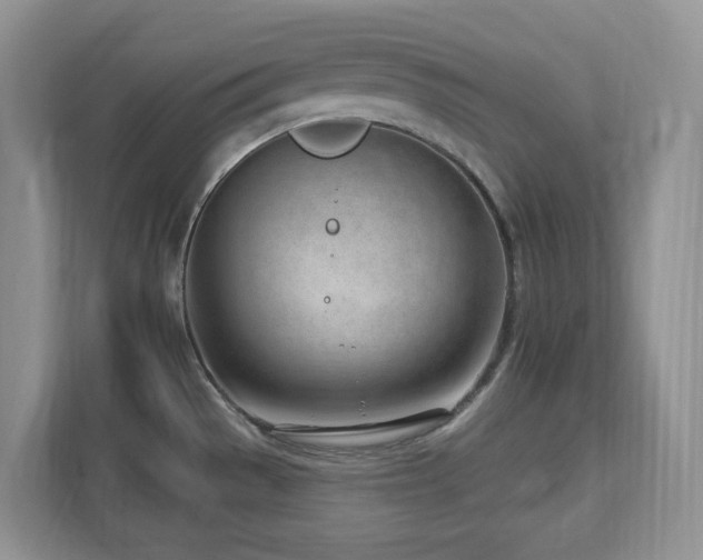 X0000112741529200908201336